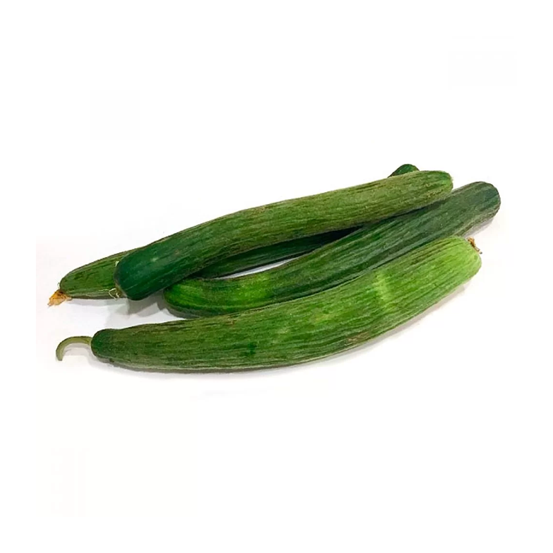 Cornichon (ou Concombre arménien)